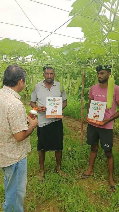 न्यूट्रीफ़ैब का मिला शानदार रिजल्ट