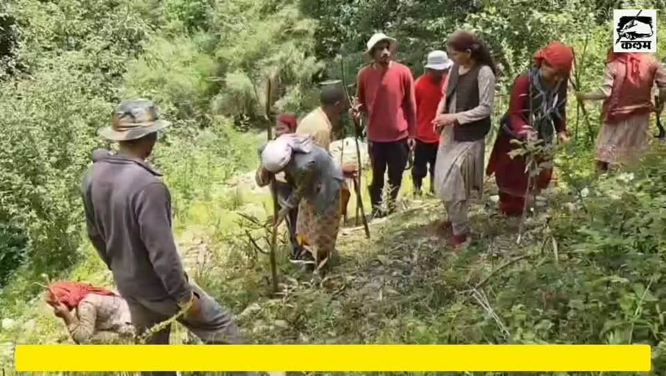 माँ के नाम एक पौधा’ अभियान को मिला जनसमर्थन, ग्राम पंचायत फुंजा के शाह क्षेत्र में हरियाली का संकल्प"
#MaaKeNaamEkPaudha #PlantationDrive #EnvironmentProtection #GoGreen #GramPanchayatPhunja #RampurBushahr #Shimla #HimachalPradesh #GreenHimachal #SaveNature #HaritHimachal #TreePlantation #CleanAndGreen #VillageDevelopment #NewsUpdate #HimachalKiAwaaz