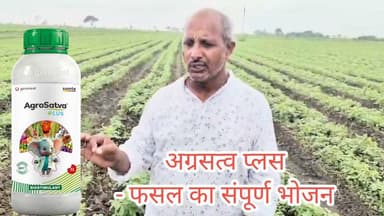 *आपकी फसल का संपूर्ण भोजन, अग्रसत्व प्लस।*
सोचने वाली क्या बात है आज ही हरदा आइये, अपनी फसल का संपूर्ण भोजन अग्रसत्व प्लस लेकर जाइए। #सोयाबीन #कपास #मक्का #अग्रसत्व