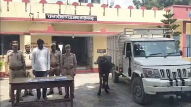 #आजमगढ़ पुलिस और पशु तस्कर के बीच हुई मुठभेड़ दो के पैर में लगी गोली घायल दो अन्य गिरफ्तार कुल चार बदमाश गिरफ्तार दोफरार तीन भैंस तमंचा कारतूस पिकअप वाहन नकदी बरामद