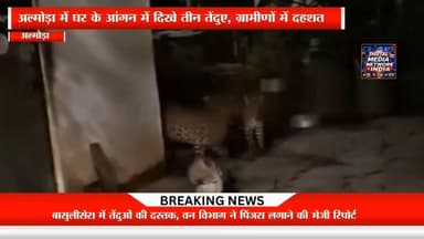 🔴 दिनभर की बड़ी खबरें | 28 जुलाई 2026
आज की सभी प्रमुख और महत्वपूर्ण खबरें एक ही वीडियो में।
📺 अभी देखें और हर बड़ी अपडेट से जुड़े रहें।
Digital Media Network • India
सटीक खबरें | निष्पक्ष रिपोर्टिंग | आपके साथ हर पल
#DigitalMediaNetworkIndia #BreakingNews #TodayNews #HindiNews #LatestNews #NewsUpdate #IndiaNews #News24x7 #TopNews #DailyNews #CurrentAffairs #Journalism #StayUpdated