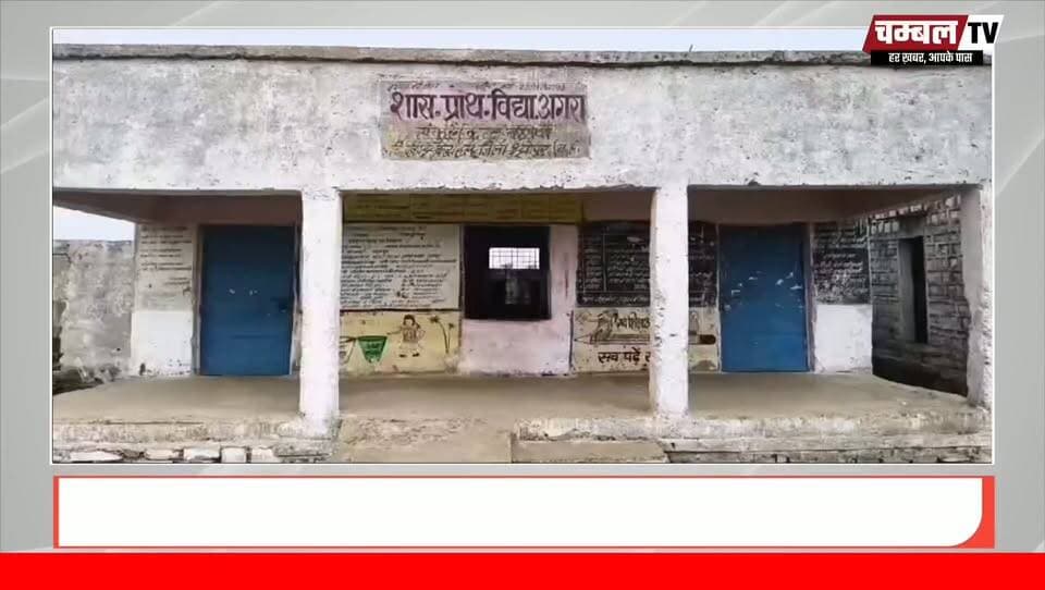 आदिवासी बच्चों के भविष्य से खिलवाड़! प्राइवेट व्यक्ति के भरोसे चल रहा सरकारी स्कूल, प्रधानाध्यापक पर कार्रवाई कब?
#Sheopur #Karahal #TribalEducation #EducationSystem #MadhyaPradesh #AdimJatiKalyan #GovernmentSchool #SchoolNegligence #GroundReport #EducationNews #SheopurNews #ChambalNews