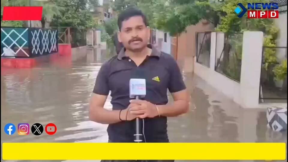 कानपुर स्मार्ट सिटी और नाला सफाई की पोल खोलता गोपाल नगर के घरों में घुसा बरसात का पानी ।
#nagarnigam #kanpurnews #devlopmemt #public #latestnews #breaking #newsmpd #ground_report