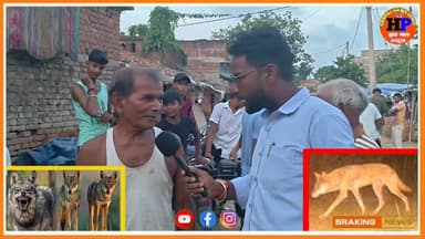 भेड़िया के आ*तंक से पूरा गांव दह*शत में 14 से 15 लोगों को किया घा*यल झाझा प्रखंड #viralvideo #trendingvideo #bihar #jamui