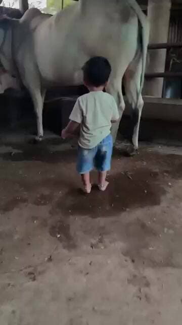 ಗೋಮಾತೆ