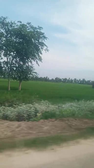 Nichlaul To Maharajaganj
Public maharajganj #NewsUpdate #liveshow