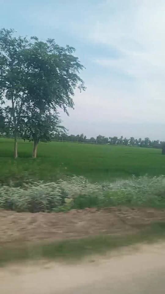 Nichlaul To Maharajaganj
Public maharajganj #NewsUpdate #liveshow