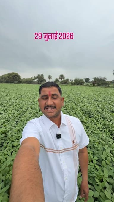 ⛈️मौसम अलर्ट मध्यप्रदेश ⛈️