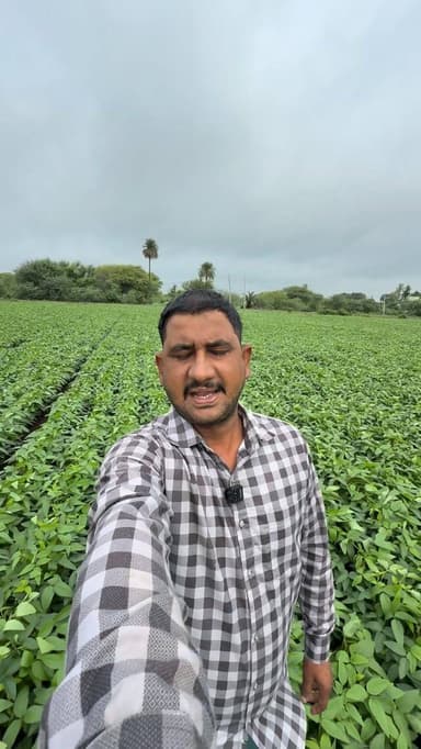 ⛈️ मौसम अलर्ट मध्यप्रदेश ⛈️