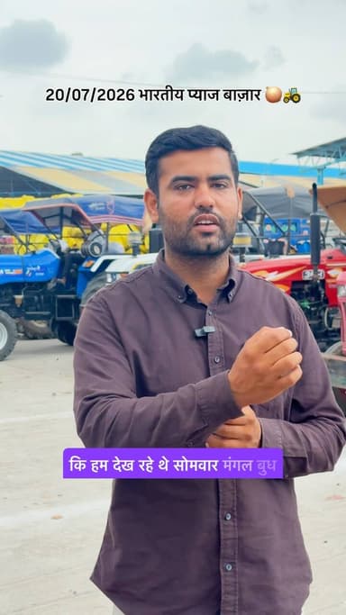 प्याज बाजार अपडेट रतलाम / इंदौर / शाजापुर / पोलाई / उज्जैन / नासिक Today indian onion market update 🚜🧅