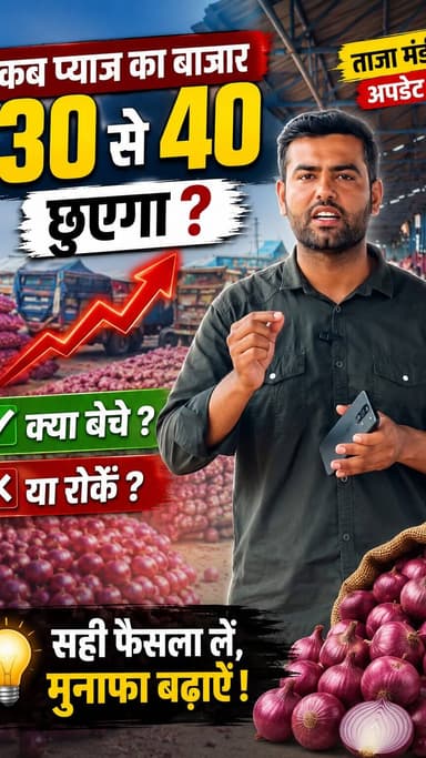 🔥 कब पहुंचेगा प्याज़ 30–40 रुपये?
💰 अभी बेचें या रोककर रखें?
🎙️ सुनिए मेरे साफ़ और सीधे विचार।
⚠️ ये केवल मेरे व्यक्तिगत विचार हैं, खरीद-फरोख्त का अंतिम निर्णय अपनी समझ और परिस्थिति के अनुसार लें।
👇 आपकी राय क्या है?
अभी बेचें या रोककर रखें? कमेंट में जरूर बताइए।
📲 अगर जानकारी उपयोगी लगे तो वीडियो को Share करें और ऐसे ही रोज़ाना मंडी अपडेट के लिए Follow करना न भूलें।
#Pyaj #OnionMarket #MandiBhav #RatlamMandi #Kisan Agriculture MandiUpdate OnionPrice Farming
