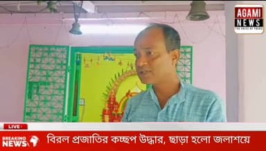 সাব্রুম সাতচাঁদে বিরল প্রজাতির কচ্ছপ উদ্ধার, ছাড়া হলো সাব্রুম দ্বৈত্যেশ্বরী কালিবাড়ী পুকুরে