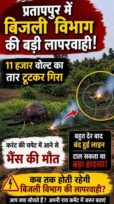 प्रतापपुर में बिजली विभाग की बड़ी लापरवाही! 11 हजार वोल्ट का तार टूटकर गिरा, करंट की चपेट में आने से भैंस की मौ,,त