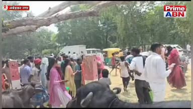 सैदापुर में अमृत सरोवर में डूबने से 13 वर्षीय किशोरी की मौत, भैंस चराने गई थी, पुलिस जांच जारी #ambedkarnagarpolice #viral #followers #dmambedkarnagar #uppolice