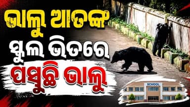 #କାନ୍ଥ_ଡେଇଁ_ସ୍କୁଲ_ଭିତରେ_ପଶୁଛି_ଭାଲୁ
ବୋରିଗୁମ୍ମା ବ୍ଲକ ନୂଆଗାଁ ସରକାରୀ ଆଶ୍ରମ ବିଦ୍ୟାଳୟ ରେ ଏବେ ଭାଲୁ ଆତଙ୍କ। ସ୍କୁଲ କାନ୍ଥ ଦେଇ ସ୍କୁଲ ଭିତରେ ପଶୁଛି ଭାଲୁ
#koraputmedia #KoraputNews #Borigumma
