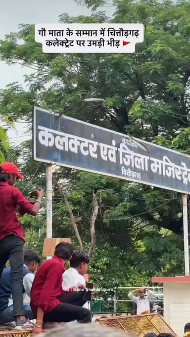 🚩🚩गौ माता को राष्ट्रमाता घोषित करने के लिए चित्तौड़गढ़ कलेक्ट्री पर उमडी भीड़ और कलेक्टर साहब को दिया ज्ञापन जय श्री राम जय गौ माता 🚩🚩