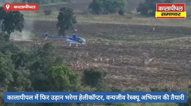 कालापीपल में फिर उड़ान भरेगा हेलीकॉप्टर, वन्यजीव रेस्क्यू अभियान की तैयारी।