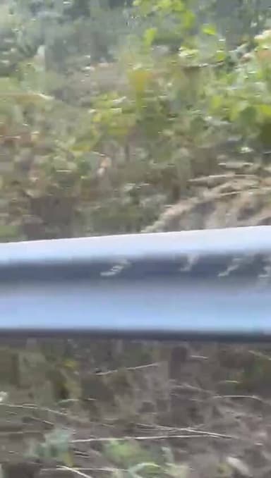 🐾 चौबट्टाखाल में दो गुलदारों की जबरदस्त लड
पौड़ी जिले के पंचवटी में गुरुवार शाम दो गुलदार आपस में लड़ते दिखे, जिसका वीडियो सोशल मीडिया पर वायरल हो गया 🎥 ग्रामीणों ने मांग की है कि प्रशासन जल्द कदम उठाए ताकि क्षेत्र में लोगों की सुरक्षा सुनिश्चित हो सके।
#PauriGarhwal #Chobattakhal #LeopardFight #Wildlife #UttarakhandNews #DevbhoomiUttarakhand #viralvideoシfypシ゚videoviralシallシ2025
#Pauri #Chobattakhal #Leopard #uttarakhandheaven #vikasituttarakhand PauriGarhwal #Chobattakhal #LeopardFight #Wildlife #UttarakhandNews #DevbhoomiUttarakhand #viralvideochallengevideochallenge