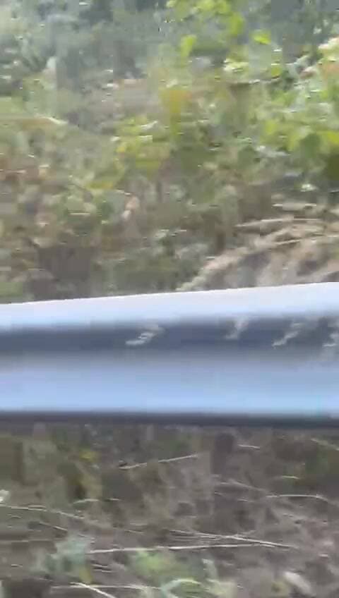 🐾 चौबट्टाखाल में दो गुलदारों की जबरदस्त लड
पौड़ी जिले के पंचवटी में गुरुवार शाम दो गुलदार आपस में लड़ते दिखे, जिसका वीडियो सोशल मीडिया पर वायरल हो गया 🎥 ग्रामीणों ने मांग की है कि प्रशासन जल्द कदम उठाए ताकि क्षेत्र में लोगों की सुरक्षा सुनिश्चित हो सके।
#PauriGarhwal #Chobattakhal #LeopardFight #Wildlife #UttarakhandNews #DevbhoomiUttarakhand #viralvideoシfypシ゚videoviralシallシ2025
#Pauri #Chobattakhal #Leopard #uttarakhandheaven #vikasituttarakhand PauriGarhwal #Chobattakhal #LeopardFight #Wildlife #UttarakhandNews #DevbhoomiUttarakhand #viralvideochallengevideochallenge