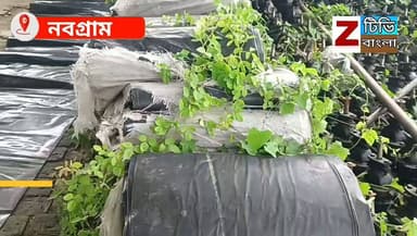 মুর্শিদাবাদের নবগ্রামে একটি ইটভাটায় জল প্রকল্পের যন্ত্রাংশ ও ত্রাণের ত্রিপল লুকিয়ে রাখার অভিযোগ, তদন্তে উঠে এল আসল সত্য