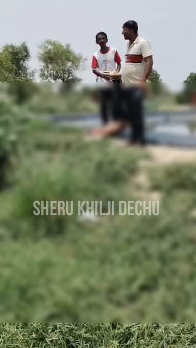 ट्यूबवेल पर पानी के हौद में डूबने से दो बच्चों की द*र्दना*क मौ*त।
पारस 15 साल राणा राम 14 साल निवासी सुवालिया शेरगढ़ की हुई मौ*त।
देचू थाना क्षेत्र के गुमानपुरा के सवाई सिंह की ट्यूबवेल पर हुआ हा*दसा।
देचू पुलिस ने बताया कि खेल खेल में नहाने के लिए उतरा बालक डूबा तो दूसरे बचाने के प्रयास में डूबा दोनों के श*व रखवाए गए देचू अस्पताल की मोर्चरी में।
गुमानपुरा निवासी अनवर खान के ट्यूबवेल पर कृषि कार्य कर रहे हैं परिवार सहित।
सूचना पर देचू पुलिस मौके पर।
#dechu #shergarh #jodhpur #phalodi #news