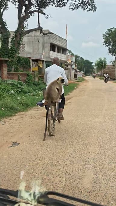 वाह! ऐसी दोस्ती शायद ही कभी देखी होगी। 🐒🚲
एक बुजुर्ग व्यक्ति के साथ साइकिल की सवारी करता बंदर लोगों का दिल जीत रहा है। वीडियो देखकर आप भी मुस्कुराए बिना नहीं रह पाएंगे। 😊
देखें और बताएं—क्या आपने कभी ऐसा नज़ारा देखा है? ❤️🐒🚲
#PNANewsIndia #ViralVideo #Monkey #MonkeyRide #CycleRide #FunnyMoment #CuteVideo #AnimalLove #AnimalFriendship #TrendingNow #ViralReels #AmazingVideo #Nature #SocialMediaViral #MustWatch #HindiNews #India #Funny #ViralContent #Reels