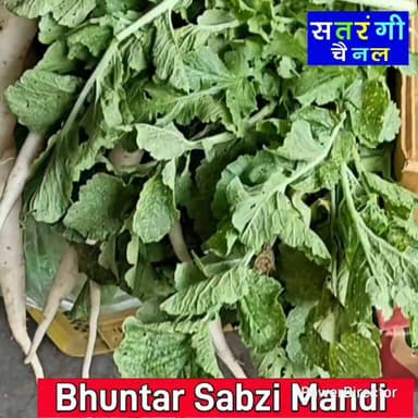 🔴 देखें आज 29 जुलाई: भुंतर सब्जी मंडी में फल और सब्जियों के ताज़ा भाव