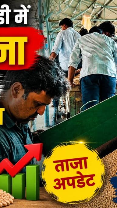 आज धामनोद मंडी में डॉलर चना का भाव इस प्रकार रहा...
आज धामनोद मंडी में डॉलर चना 8700, 8655,8600, 8580, 8555, 8500, 8450, 8410, 8405, 8350, 8280, 8200, 8000, 7850, 7600, 7255 करके क्वालिटी अनुसार बिका...
27 जुलाई 2026
Dhamnod Mandi Bhav
.
.
.
.
.
.
.
.
.
.
.
.
.
.
.
.
#dhamnodmandibhav #dollarchanarates #dollarchanamandibhav #dollarchanakabhav #mandinews