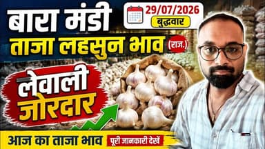 29 July 2026 बारा मंडी ताजा लहसुन भाव#आज लेवाली जोरदार #Baran Mandi Garlic Price Today#