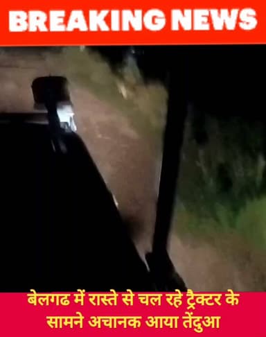 यमुनानगर के बेलगढ में ट्रैक्टर के सामने अचानक आया तेंदुआ
#hr71 #Sadora #jagadhri #protest #YNR