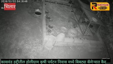 पुस्तकांच्या गावांनजिक कासवंड येथेबिबट्याची दहशत ! Holygram Krushi Paryatan निवास येथे रात्रीच्या वेळी वावर ; कोंबड्या केल्या फस्त, बिबट्याची झडप सीसीटीव्ही मध्ये कैद; परिसरात भीतीचे वातावरण