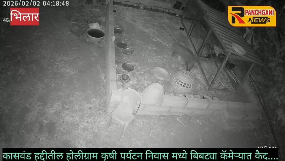 पुस्तकांच्या गावांनजिक कासवंड येथेबिबट्याची दहशत ! Holygram Krushi Paryatan निवास येथे रात्रीच्या वेळी वावर ; कोंबड्या केल्या फस्त, बिबट्याची झडप सीसीटीव्ही मध्ये कैद; परिसरात भीतीचे वातावरण