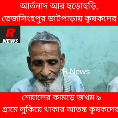 ভাটপাড়ায় শেয়ালের কা/ম/ড়ে হাসপাতালে ৯ গ্রামবাসী।
#vairalpost #vairalreels #Raninagar #Murshidabad #godhanpara #hospital