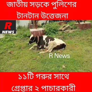 ফরাক্কায় ভেস্তে গেল গরু পাচারের বড়সড় ছক।
#highlightseveryone #murshidabadpolice #vairalvideo #westbengalpolice #vairalreels #farakkamurshidabad