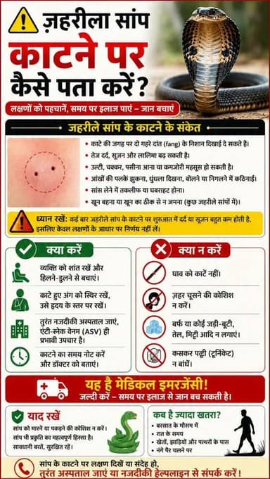 ज़हरीला सांप काटने पर कैसे पता करें ?
लक्षणों को पहचानें, समय पर इलाज पाएं जान बचाएं