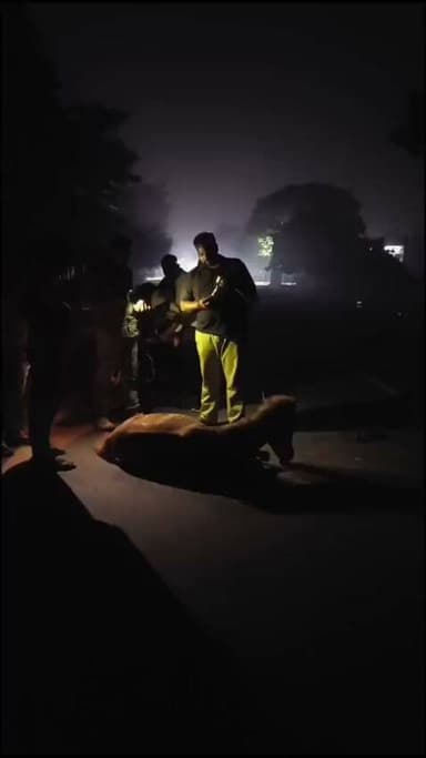 मोहम्मदी में गोवंश के बाद घोड़े भी आवारा
लोग पालने के बाद छोड़ते है उपयोग के बाद लोग अक्सर छोड़ देते हैं ऐसे लोगों पर प्रशासन कार्रवाई करने से बच रहा है प्रशासन की कोई टीम इस विषय पर ना तो कोई कार्रवाई कर रही ना कोई नोटिस जारी कर रही हैं प्रशासन बिल्कुल विषय पर चिंतित नहीं दिखाई दे रहा है?