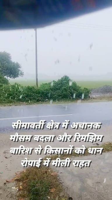 सीमावर्ती क्षेत्र में अचानक मौसम बदला और रिमझिम बारिश से किसानों को धान रोपाई में मीली राहत #viralpost #viralreelschallenge #viralreels #Vacaciones #2026Goals #newyork