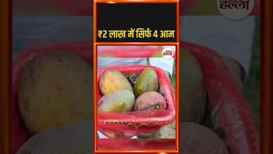 सहारनपुर में ₹2 लाख में मिलते हैं 4 आम #UPFarmers