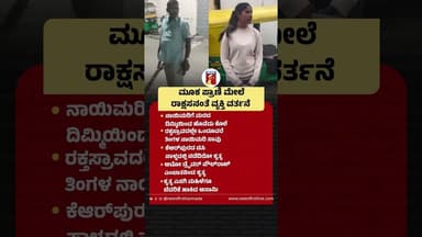 ಮೂಕ ಪ್ರಾಣಿ ಮೇಲೆ ರಾಕ್ಷಸನಂತೆ ವ್ಯಕ್ತಿ ವರ್ತನೆ #KRPuramIncident #TCPalya #Dog #AutoDriverPaulraj