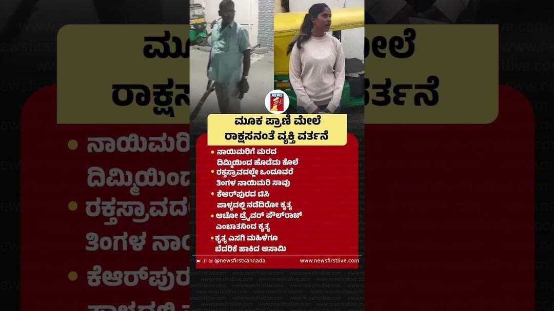 ಮೂಕ ಪ್ರಾಣಿ ಮೇಲೆ ರಾಕ್ಷಸನಂತೆ ವ್ಯಕ್ತಿ ವರ್ತನೆ #KRPuramIncident #TCPalya #Dog #AutoDriverPaulraj
