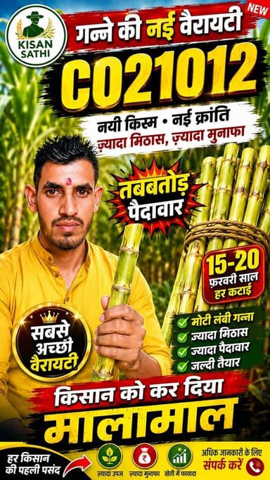 🚨 गन्ने की सबसे तगड़ी नई वैरायटी CO21012! 🌱 किसानों को कर रही मालामाल | रिकॉर्डतोड़ पैदावार
#CO21012 #Ganna #Sugarcane #SugarcaneFarming #kisansathi Navdeep Singh