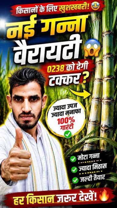 "रुको! 😱 अगर अभी भी पुरानी गन्ना किस्म लगा रहे हो, तो ये वीडियो ज़रूर देख लो!" #Ganna #Sugarcane #NewVariety #Kisan #farminglife