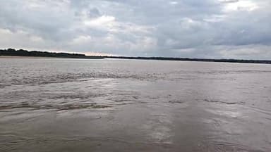 ଫୁଲୁଛି ସୁବର୍ଣ୍ଣରେଖା