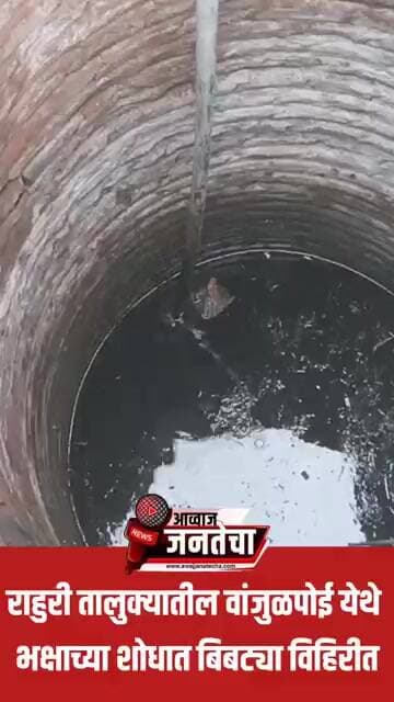 राहुरी तालुक्यातील वांजुळपोई येथे भक्षाच्या शोधात बिबट्या विहिरीत