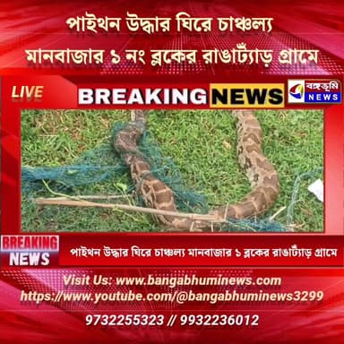#BreakingNews পাইথন উদ্ধার ঘিরে চাঞ্চল্য মানবাজার ১ নং ব্লকের রাঙাট্যাড় গ্রামে
#Manbazar #bhalubasa #forest #python #BREAKING #TopNews #UpdateNews