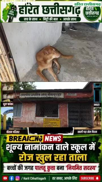 बच्चों की जगह कुत्ता बना नियमित सदस्य