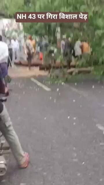 NH 43 पर गिरा विशाल पेड़