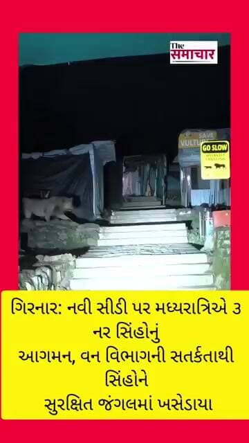 ગિરનાર: નવી સીડી પર મધ્યરાત્રિએ ૩ નર સિંહોનું આગમન, સિંહોને સુરક્ષિત જંગલમાં ખસેડાયા#shortvideo