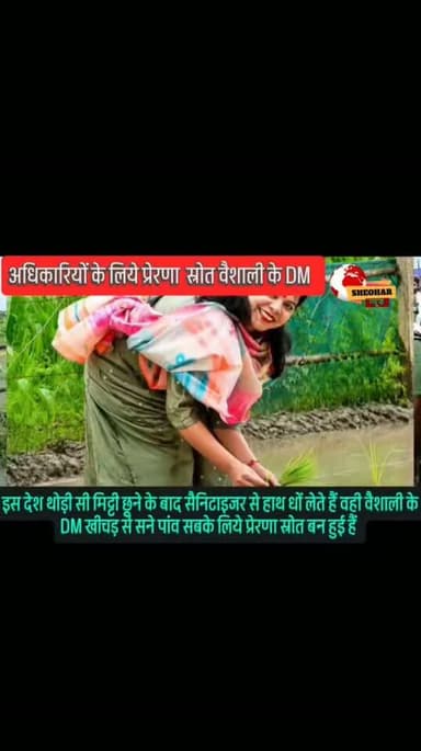#वैशाली के DM बनी #अधिकारियों के लिये #प्रेरणास्रोत #कीचड़ से सनन #रोपाई कि धान...