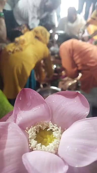 सावन का आज दूसरा दिन करिए श्री तामेश्वर बाबा के दर्शन #ndnews के लाइव पेज पर हर हर महादेव जरूर कमेंट बॉक्स पर लिखिए और निरंतर जुड़े रहे #ndnews के फेसबुक पेज से आपको प्रत्येक दिन सावन पर #तांबेश्वर_बाबा_के_दर्शन_मिलेंगे